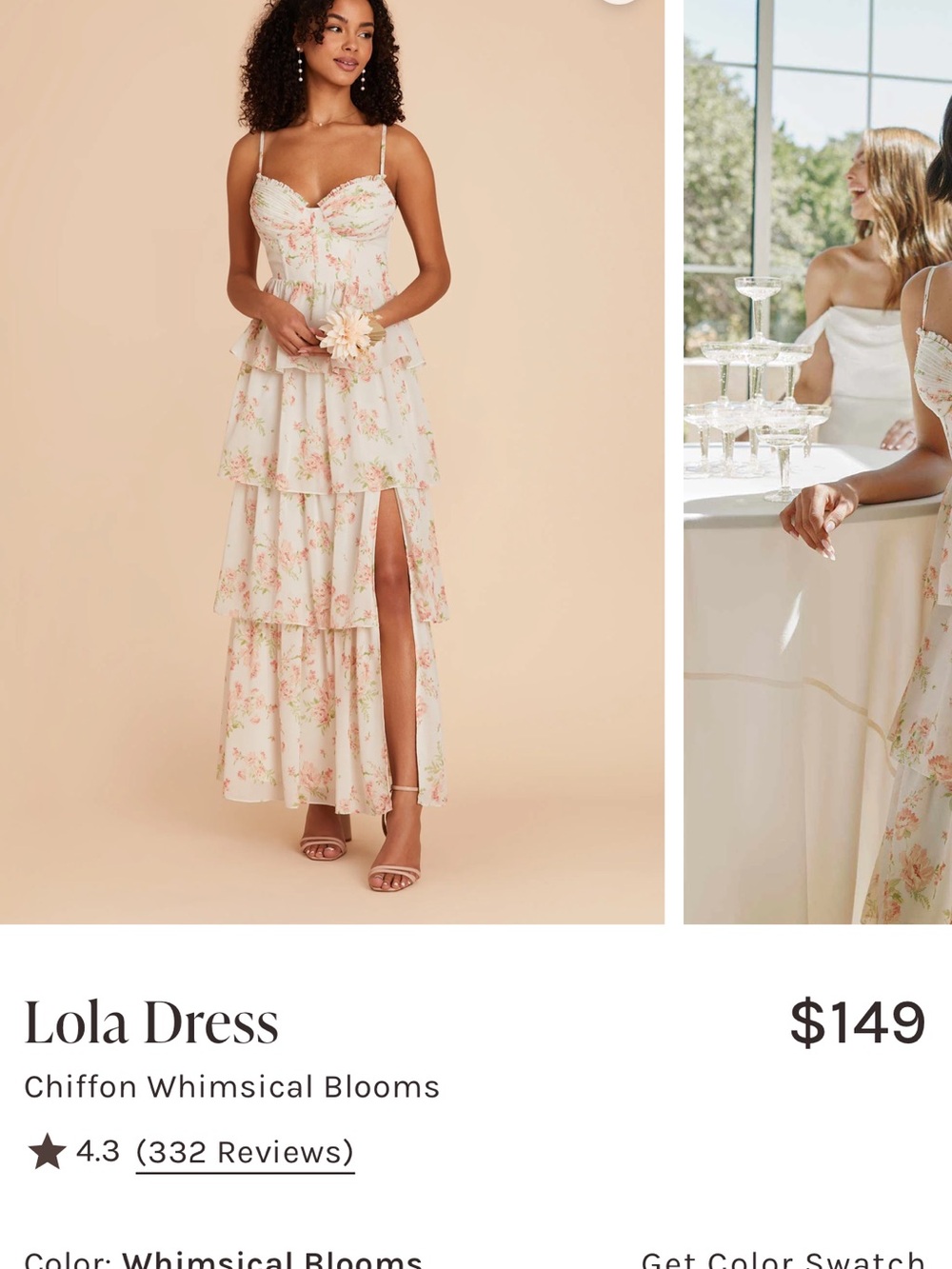 Birdy Grey Lola Bridesmaid Dress - Whimsical Blooms Floral Maxi Dress